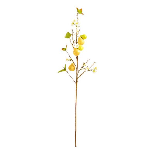 decorative flowers & wreaths fruit props imitation plants foam bouquet party decoration bunch wedding garland home decor artificial pear
decorative flowers & wreaths fruit props imitation plants foam bouquet party decoration bunch wedding garland home decor artificial pear