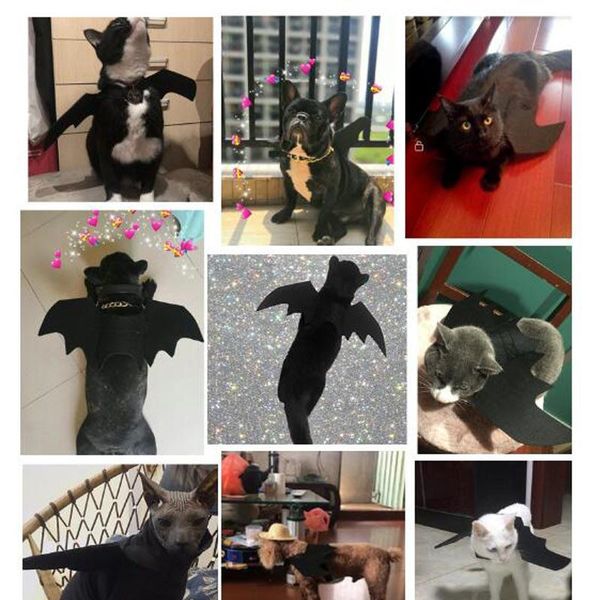 dog apparel halloween costume clothes bat wings vampire cat costumes pet cosplay clothing for toy
dog apparel halloween costume clothes bat wings vampire cat costumes pet cosplay clothing for toy