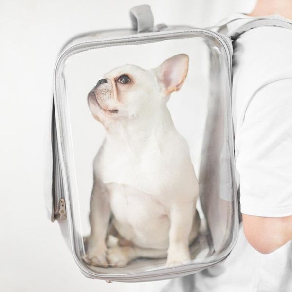 dog apparel pet cat carrier backpack breathable travel outdoor shoulder bag for small dogs cats portable packaging carrying supplies
dog apparel pet cat carrier backpack breathable travel outdoor shoulder bag for small dogs cats portable packaging carrying supplies