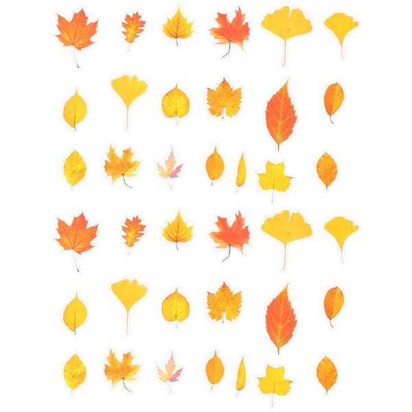 other arts and crafts 2 sets adorable sticker creative scrapbook diy stickers delicate botany
other arts and crafts 2 sets adorable sticker creative scrapbook diy stickers delicate botany