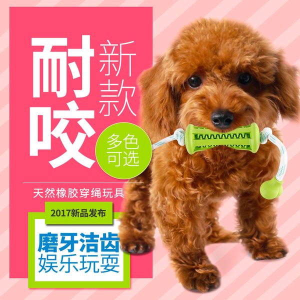 dog bite resistant rubber knot teddy bear puppy molar golden hair training pet toy cleaning ball
dog bite resistant rubber knot teddy bear puppy molar golden hair training pet toy cleaning ball