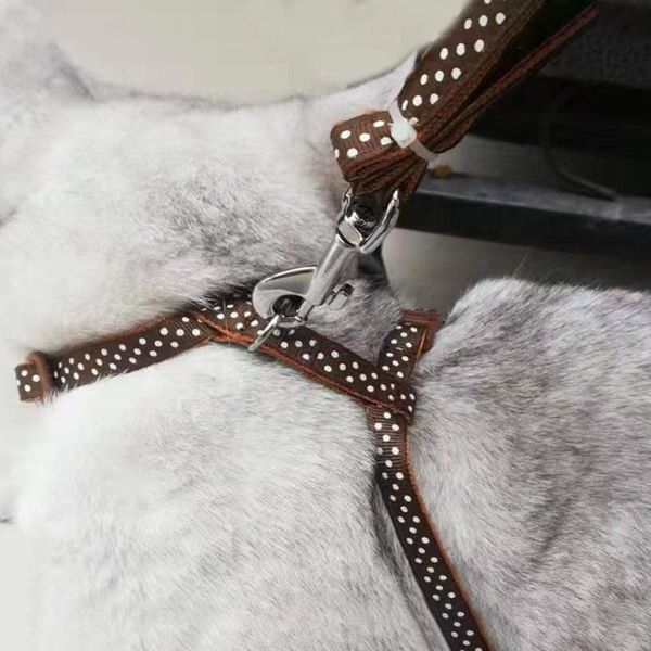 pet harness leash traction belt adjustable lead collar practical cat and dog reflective seat collars & leads
pet harness leash traction belt adjustable lead collar practical cat and dog reflective seat collars & leads