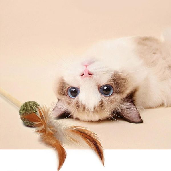 cat toys catnip interactive teaser with wood rod ball funny feather pet eco-friendly training tool
cat toys catnip interactive teaser with wood rod ball funny feather pet eco-friendly training tool