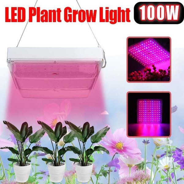 grow lights growing lamp led light 120w ac85-265v full spectrum plant lighting fitolampy for plants flowers seedling cultivation
grow lights growing lamp led light 120w ac85-265v full spectrum plant lighting fitolampy for plants flowers seedling cultivation