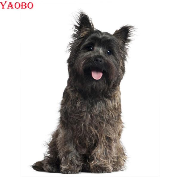diamond painting full square drill mosaic cairn terrier dog diy 3d rhinestone embroidery cross stitch kit needlework home decor
diamond painting full square drill mosaic cairn terrier dog diy 3d rhinestone embroidery cross stitch kit needlework home decor