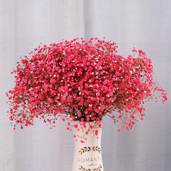 decorative flowers & wreaths 50cm immortal gypsophila dried flower real touch home decor wedding decoration bride holding bundle artificial
decorative flowers & wreaths 50cm immortal gypsophila dried flower real touch home decor wedding decoration bride holding bundle artificial