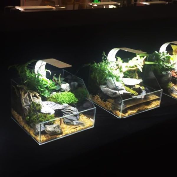 aquariums lighting led aquarium 10w ultra-thin light ultra bright clip-on lamp 24pcs 5730 for fish
aquariums lighting led aquarium 10w ultra-thin light ultra bright clip-on lamp 24pcs 5730 for fish