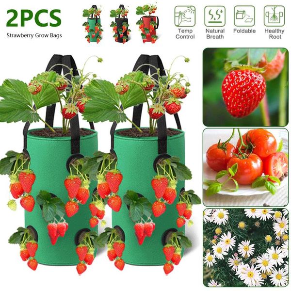 planters & pots 2pcs 3 gallons strawberry grow bags vertical flower pouch reusable planter box 12 hole non woven plant basket planting
planters & pots 2pcs 3 gallons strawberry grow bags vertical flower pouch reusable planter box 12 hole non woven plant basket planting