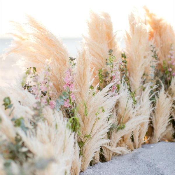 decorative flowers & wreaths white pampas grass natural wedding bouquet fluffy secas grandes xxl home decor table centerpieces collection se
decorative flowers & wreaths white pampas grass natural wedding bouquet fluffy secas grandes xxl home decor table centerpieces collection se