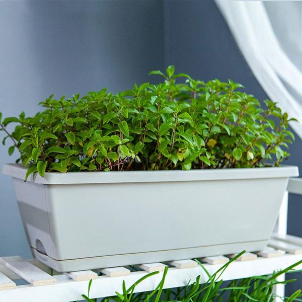40# lazy plastic flower pots family balcony planting vegetables and flowers extra large rectangular groove plant pot planters &
40# lazy plastic flower pots family balcony planting vegetables and flowers extra large rectangular groove plant pot planters &