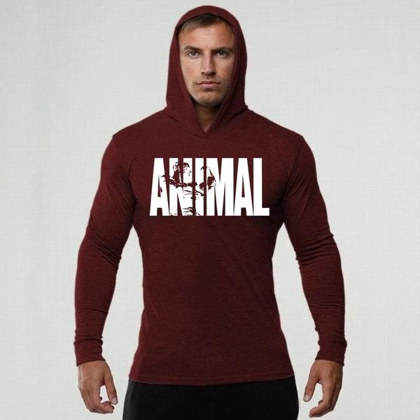 Spring sweater trend solid color men's sports long sleeve Hoodie autumn youth leisure Pullover, Black
Spring sweater trend solid color men's sports long sleeve Hoodie autumn youth leisure Pullover, Black