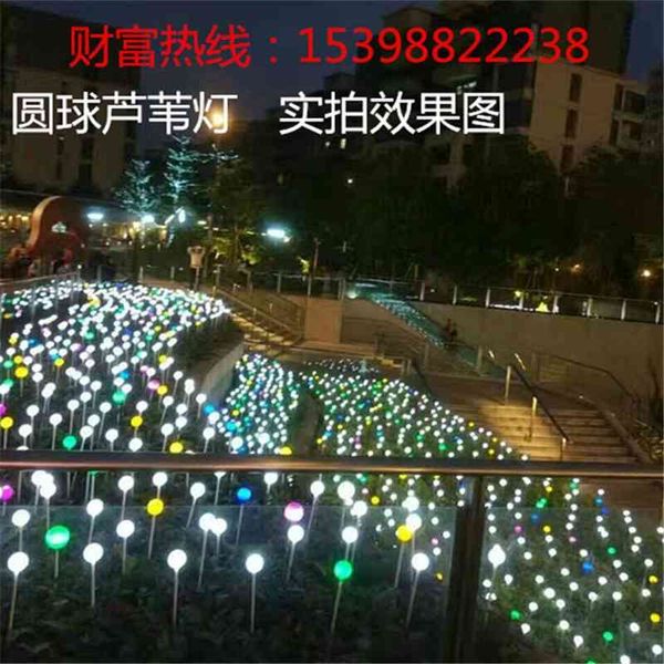 led luminous ball reed color outdoor decoration lighting engineering waterproof garden lawn floor lamp
led luminous ball reed color outdoor decoration lighting engineering waterproof garden lawn floor lamp