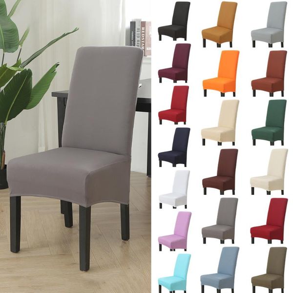 chair covers xl size long back cover restaurant el party banquet seat slipcovers spandex fabric
chair covers xl size long back cover restaurant el party banquet seat slipcovers spandex fabric