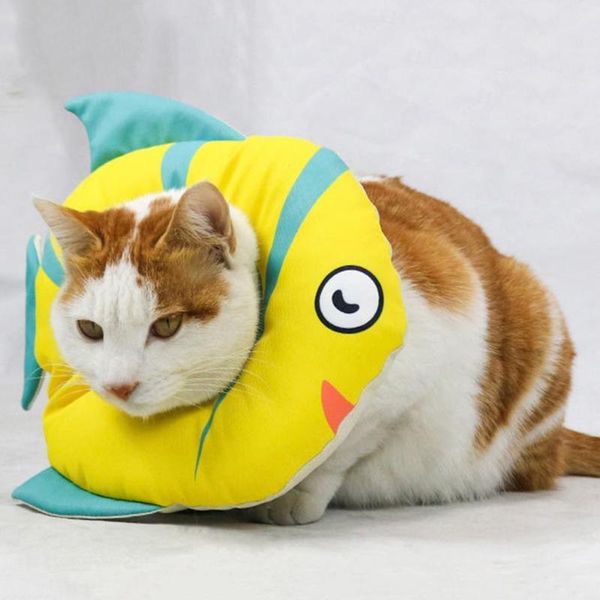 cat costumes recovery collar pet cone soft protective adjustable elizabethan for cats & small dogs cute fish shape n1hf
cat costumes recovery collar pet cone soft protective adjustable elizabethan for cats & small dogs cute fish shape n1hf