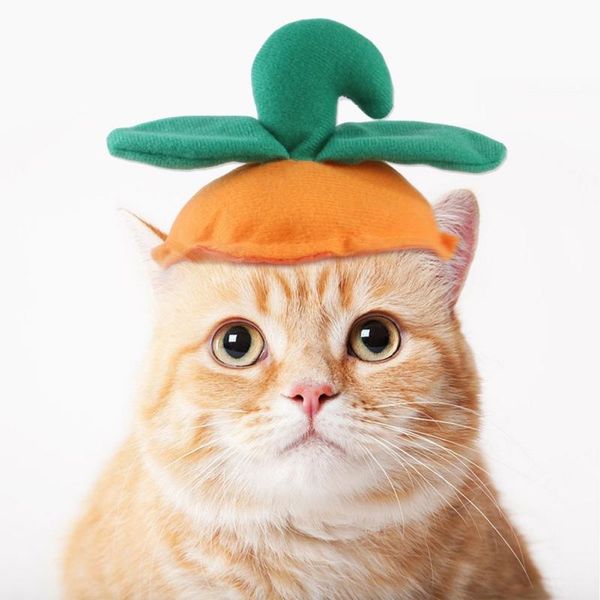 cat costumes a cute pet headdress small dog costume pumpkin/strawberry hat for halloween clothes fancy dress accessoires
cat costumes a cute pet headdress small dog costume pumpkin/strawberry hat for halloween clothes fancy dress accessoires