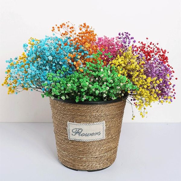 decorative flowers & wreaths 20g natural dried preserved gypsophila real forever baby's breath diy candle material wedding decoration f
decorative flowers & wreaths 20g natural dried preserved gypsophila real forever baby's breath diy candle material wedding decoration f