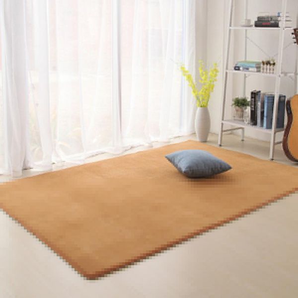 carpets coral velvet mat kitchen living room bedroom door bedside restaurant carpet children crawling blanket fluff rug baby cushion
carpets coral velvet mat kitchen living room bedroom door bedside restaurant carpet children crawling blanket fluff rug baby cushion