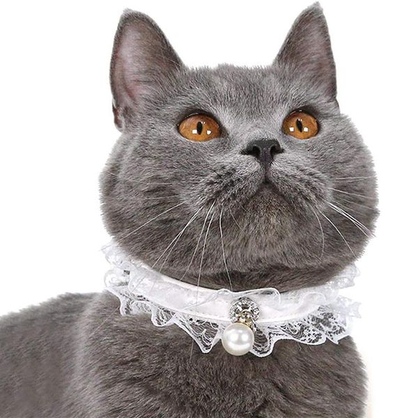 cat collars & leads 1 pc collar puppy pearl pendant lace necklace for wedding party pet kitten adjustable 22cm-32cm
cat collars & leads 1 pc collar puppy pearl pendant lace necklace for wedding party pet kitten adjustable 22cm-32cm