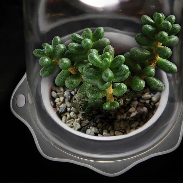 planters & pots led grow light succulent smart with timer and fan small indoor plant multi-function garden
planters & pots led grow light succulent smart with timer and fan small indoor plant multi-function garden