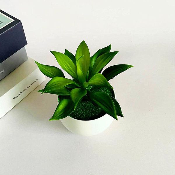decorative flowers & wreaths 1*artificial succulents(with pot) artificial succulents false plants garden with pot home decoration
decorative flowers & wreaths 1*artificial succulents(with pot) artificial succulents false plants garden with pot home decoration