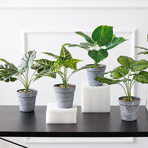 decorative flowers & wreaths nordic home decoration bonsai artificiales accessories garden leaf plastic fake flower pots greenery craft orna
decorative flowers & wreaths nordic home decoration bonsai artificiales accessories garden leaf plastic fake flower pots greenery craft orna