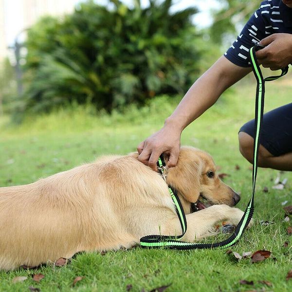 nylon heavy duty dog pet harness collar adjustable padded extra big large medium small harnesses puppy dogs supplies collars & leashes
nylon heavy duty dog pet harness collar adjustable padded extra big large medium small harnesses puppy dogs supplies collars & leashes