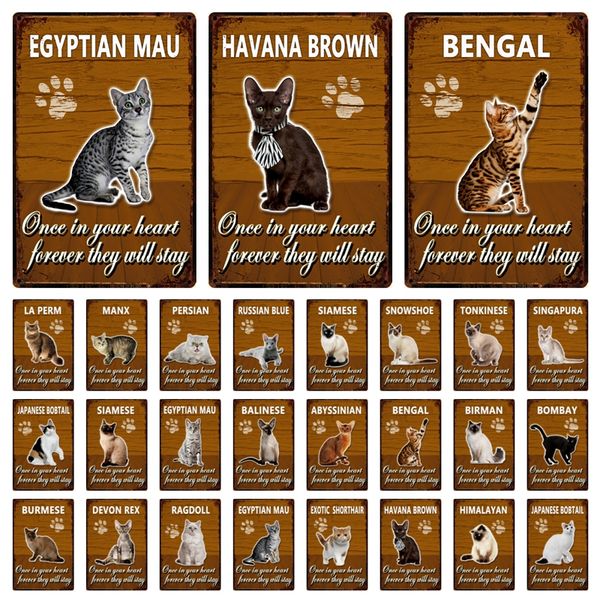 pets cat bombay siamese exotic shortair abyssinian metal sign home decor bar wall art painting 20*30 cm size dy146
pets cat bombay siamese exotic shortair abyssinian metal sign home decor bar wall art painting 20*30 cm size dy146