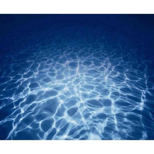 decorations 9063 23.3" x 60" double sided aquarium decoration white coral/blue sea fish tank background picture poster
decorations 9063 23.3" x 60" double sided aquarium decoration white coral/blue sea fish tank background picture poster