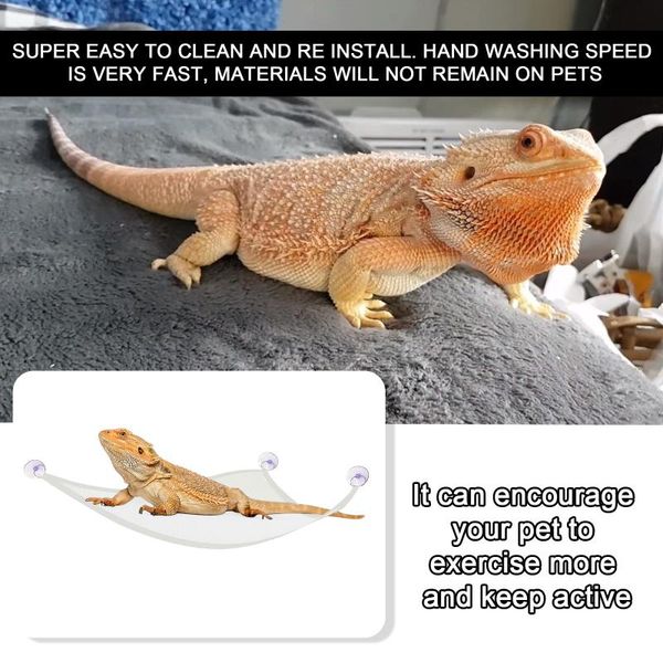 storage bottles & jars 1/2 pcs pet hammock mesh sleeping bed play toys swing oxford fabric for reptile snake lizard climb products with suct
storage bottles & jars 1/2 pcs pet hammock mesh sleeping bed play toys swing oxford fabric for reptile snake lizard climb products with suct