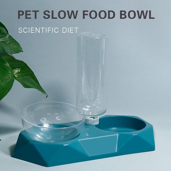 pet cat bowl automatic feeder 15 degrees tilted dog water with dispenser double bottle bowls & feeders
pet cat bowl automatic feeder 15 degrees tilted dog water with dispenser double bottle bowls & feeders