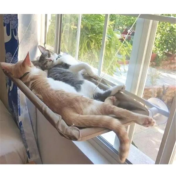 cat accessories pet hammock cats climbing bed screw sucker type strong suction big fat nest can be removed and washed beds & furniture
cat accessories pet hammock cats climbing bed screw sucker type strong suction big fat nest can be removed and washed beds & furniture