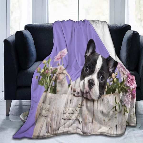 Adorable Pug Dog Soft Throw Blanket 40"x50" Lightweight Flannel Fleece Blanket for Couch Bed Sofa Travelling Camping for Kids
Adorable Pug Dog Soft Throw Blanket 40"x50" Lightweight Flannel Fleece Blanket for Couch Bed Sofa Travelling Camping for Kids