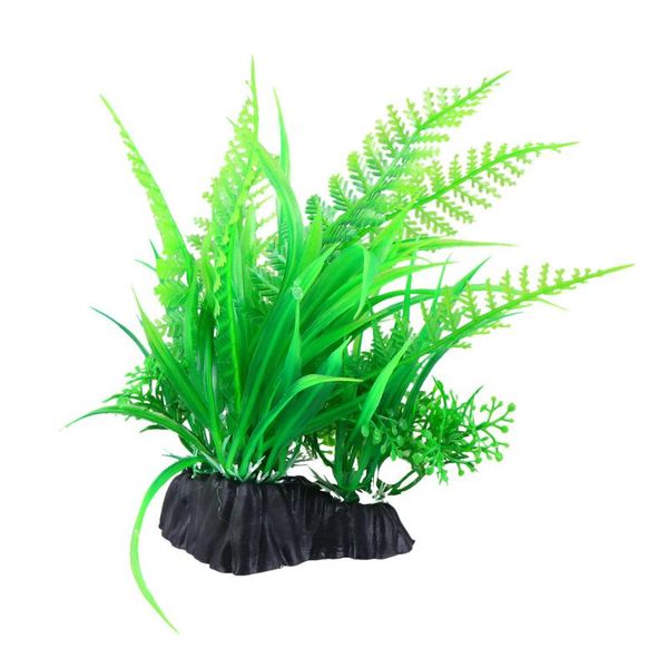 decorations 3pcs simulated water grass aquatic landscape miniature plant ornament plants with base for diy fish tank aquarium
decorations 3pcs simulated water grass aquatic landscape miniature plant ornament plants with base for diy fish tank aquarium
