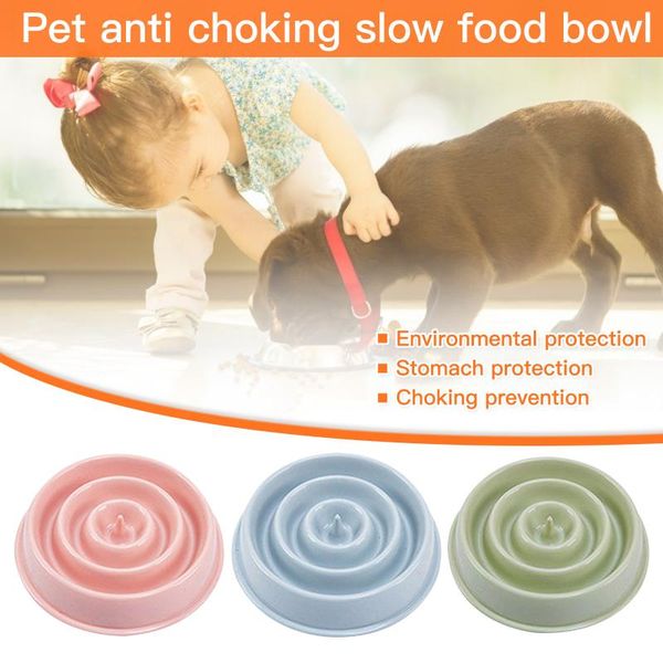 bowl for dogs feeders pet supplies cat chokes prevention slow dog bowls accessories
bowl for dogs feeders pet supplies cat chokes prevention slow dog bowls accessories