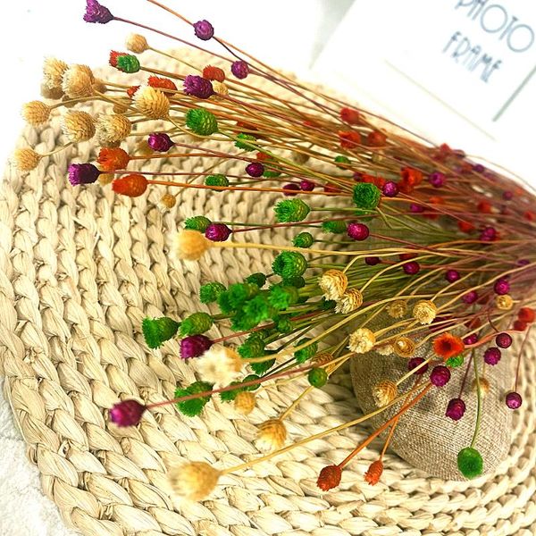 50pcs real happy flower small natural dried flowers bouquet dry press mini decorative pography po backdrop decor & wreaths
50pcs real happy flower small natural dried flowers bouquet dry press mini decorative pography po backdrop decor & wreaths