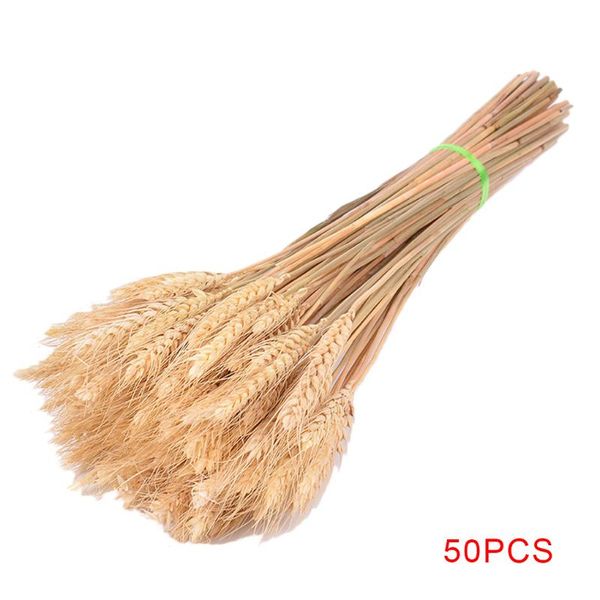 decorative flowers & wreaths 50pcs primary color wheat ear grass dried bouquets natural material plant stems real flower shooting props wedd
decorative flowers & wreaths 50pcs primary color wheat ear grass dried bouquets natural material plant stems real flower shooting props wedd