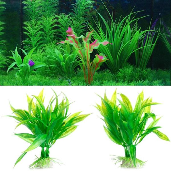 decorations fish tank aquarium decor green artificial plastic water grass plant ornament for
decorations fish tank aquarium decor green artificial plastic water grass plant ornament for