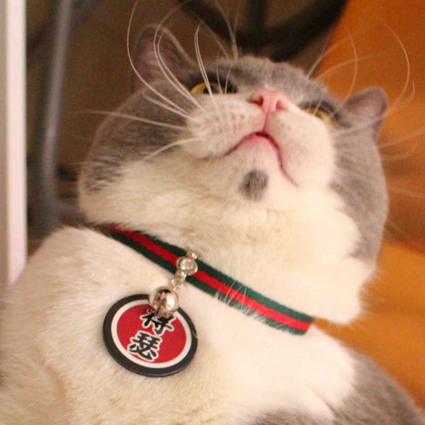 desser food pendant collar pet with bell zhaocai cat small dog tag p decoration d2i5
desser food pendant collar pet with bell zhaocai cat small dog tag p decoration d2i5