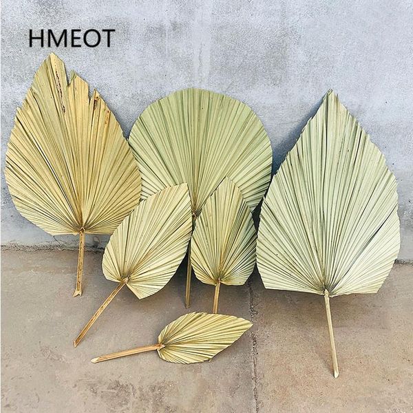 decorative flowers & wreaths dried flower palm fan leaf plants sunflower leaves home decor window wedding arch arrangement hanging wall
decorative flowers & wreaths dried flower palm fan leaf plants sunflower leaves home decor window wedding arch arrangement hanging wall
