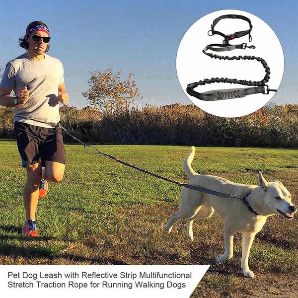 pet dog leash with reflective strip multifunctional stretch traction rope for running walking dogs harness & collar collars leashes
pet dog leash with reflective strip multifunctional stretch traction rope for running walking dogs harness & collar collars leashes