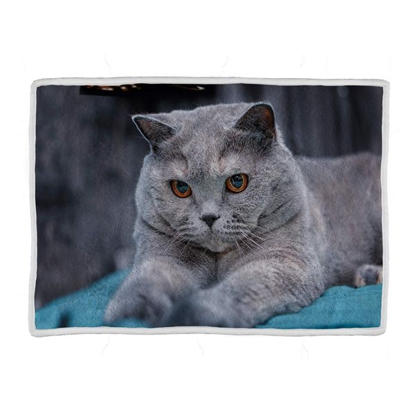 Personalized Throw Blanket with Picture, Customized Photo Blanket with Printing Soft Flannel Souvenirs and Gifts for Dogs Cats
Personalized Throw Blanket with Picture, Customized Photo Blanket with Printing Soft Flannel Souvenirs and Gifts for Dogs Cats