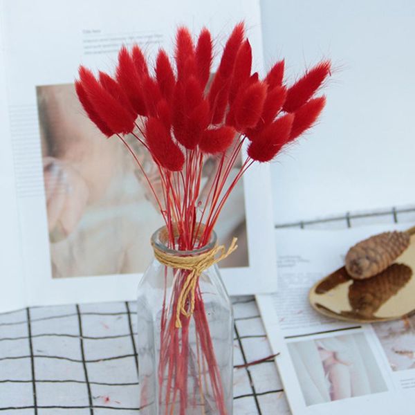 decorative flowers & wreaths dried flower bouquet artificial lagurus ovatus decoration for home el wedding
decorative flowers & wreaths dried flower bouquet artificial lagurus ovatus decoration for home el wedding