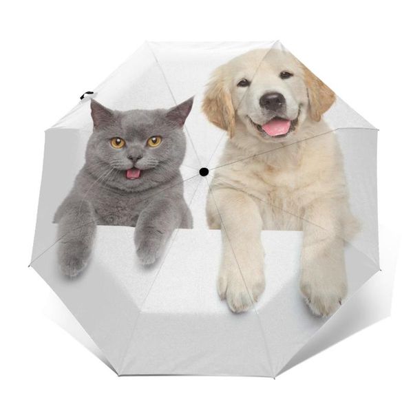 umbrellas sunny umbrella cat dog over white banner automatic folding portable men women sunscreen rain windproof beach parasol
umbrellas sunny umbrella cat dog over white banner automatic folding portable men women sunscreen rain windproof beach parasol