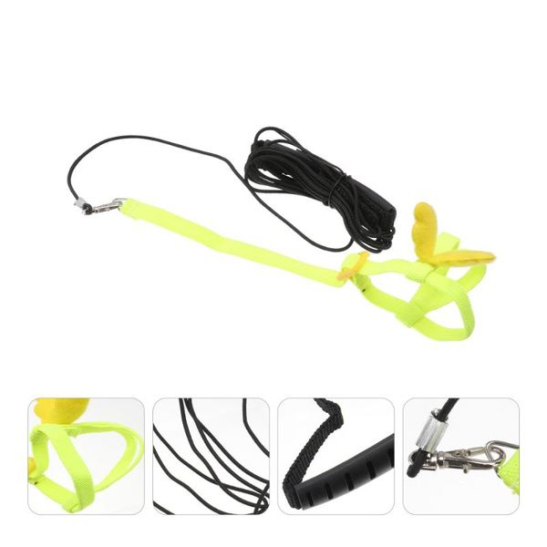 other bird supplies 1pc harness leash flying rope straps pet parrot outdoor training traction for budgerigar lovebird cockatiel myna
other bird supplies 1pc harness leash flying rope straps pet parrot outdoor training traction for budgerigar lovebird cockatiel myna