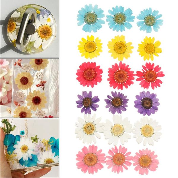 decorative flowers & wreaths 1set dried natural multicolour flower herbs kit for bath soap making candle home wedding decoration
decorative flowers & wreaths 1set dried natural multicolour flower herbs kit for bath soap making candle home wedding decoration