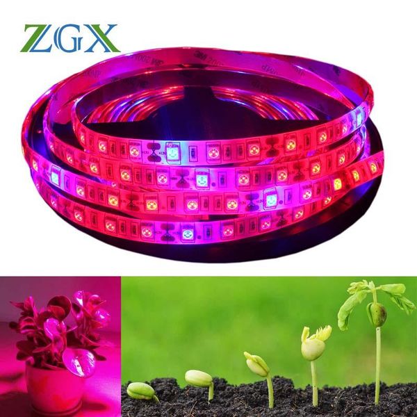 plant grow light lamp led strip tape dc12v red:blue 5:1 aquarium greenhouse hydroponic growing 5m/lot 60leds/m strips
plant grow light lamp led strip tape dc12v red:blue 5:1 aquarium greenhouse hydroponic growing 5m/lot 60leds/m strips