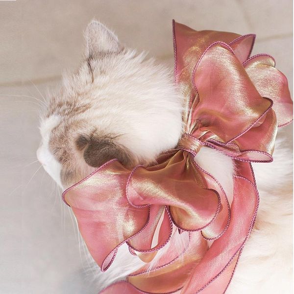 cat costumes princess ribbon lace collar for cats elegant silk gauze dog necklace accessories sweet kitten neck decor pet bows yorkie rag
cat costumes princess ribbon lace collar for cats elegant silk gauze dog necklace accessories sweet kitten neck decor pet bows yorkie rag