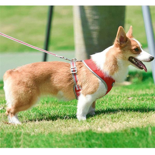 dog harness adjustable reflective polyester mesh vest breast-band breathable for small dogs lead leash collar pet products collars & leashes
dog harness adjustable reflective polyester mesh vest breast-band breathable for small dogs lead leash collar pet products collars & leashes