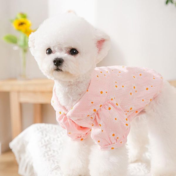 dog apparel cute pet costume summer clothes dogs chihuahua puppy shirts teddy t-shirt xs-xxl
dog apparel cute pet costume summer clothes dogs chihuahua puppy shirts teddy t-shirt xs-xxl