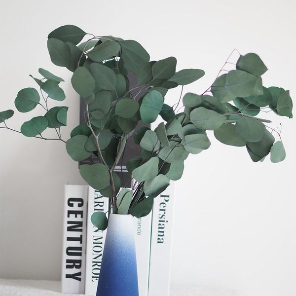 decorative flowers & wreaths 80g/lot natural eucalyptus leaves branches eternal dried flower for wedding forest style decoration accessories
decorative flowers & wreaths 80g/lot natural eucalyptus leaves branches eternal dried flower for wedding forest style decoration accessories